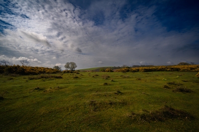 Exmoor Landscape