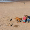 Castles in the Sand