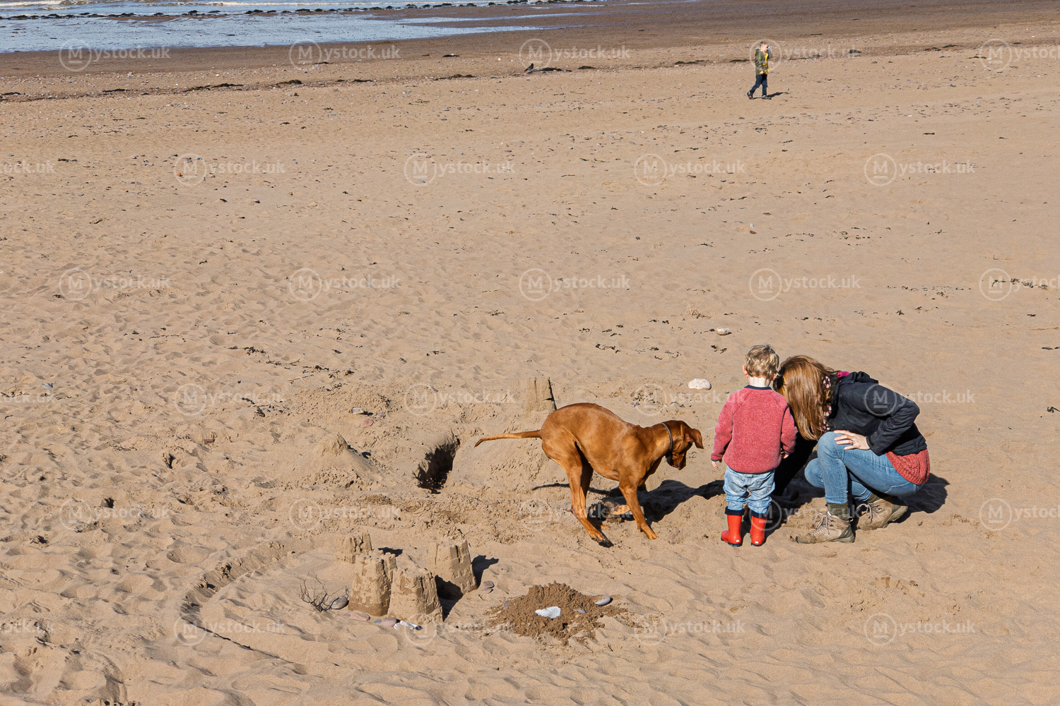Castles in the Sand