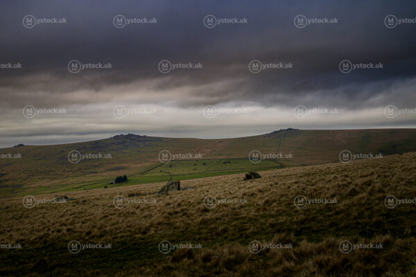 Whispers Across the Moor