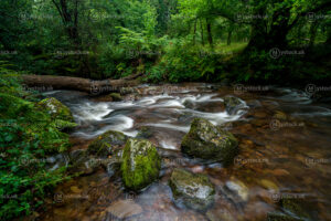 Horner Water, Quiet Force