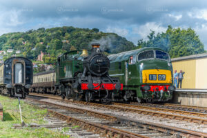 Steam and Diesel at Minehead