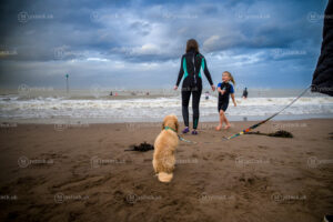 Watching Them Enter the Sea