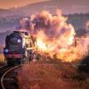 Braunton’s Dawn: Steam and Fire on the West Somerset Railway