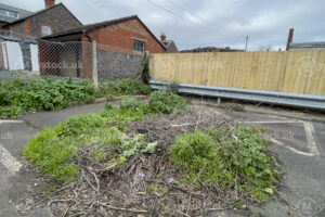 Nature Reclaims: Garden Waste in Minehead Car Park