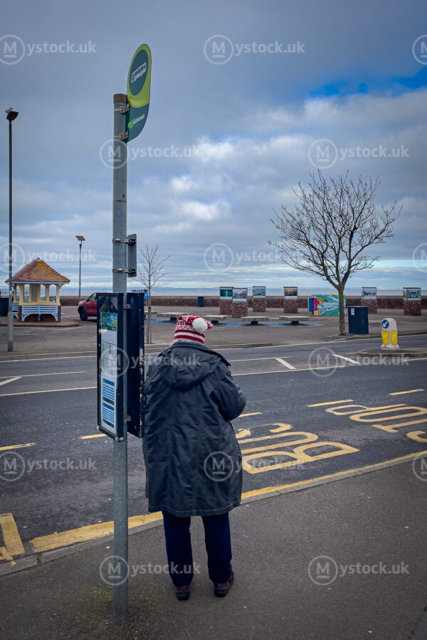Winter Wait: A Quiet Moment at Minehead Station